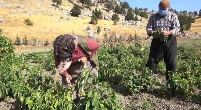 Mutluluğun formülü Kahramanmaraşlı çiftte