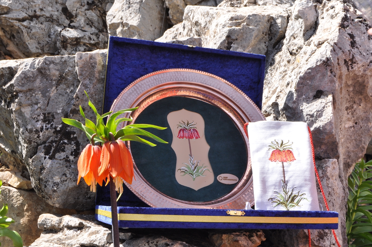 Kahramanmaraş'ta ters laleler geleneksel ürünlere işleniyor
