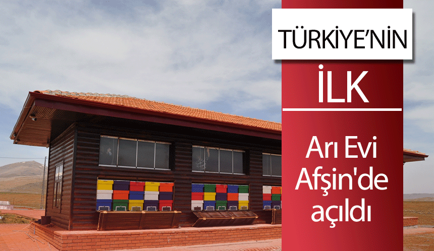 Türkiye'nin ilk arı evi Afşin’de açıldı