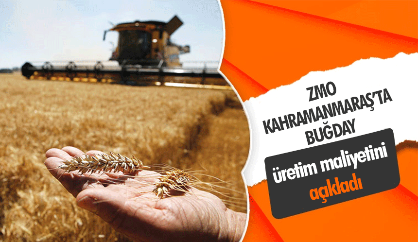 ZMO, Kahramanmaraş’ta buğday üretim maliyetini açıkladı