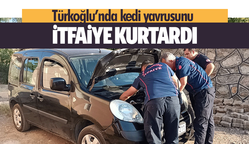 Türkoğlu’nda kedi yavrusunu itfaiye kurtardı