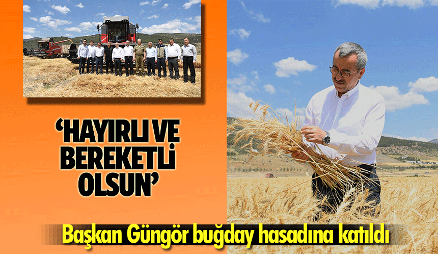 Başkan Güngör buğday hasadına katıldı
