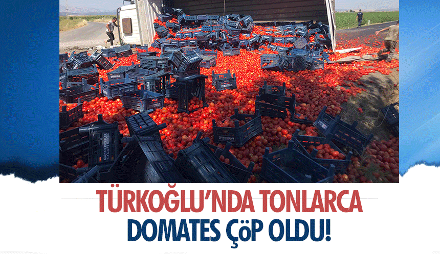 Türkoğlu’nda tonlarca domates çöp oldu!