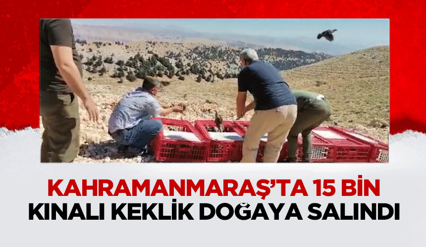 Kahramanmaraş’ta 15 bin kınalı keklik doğaya salındı