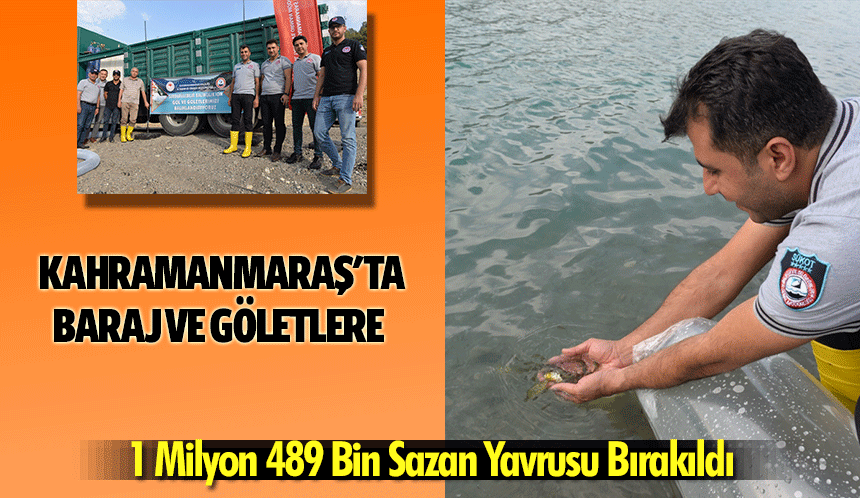 Kahramanmaraş'ta Baraj ve Göletlere 1 Milyon 489 Bin Sazan Yavrusu Bırakıldı