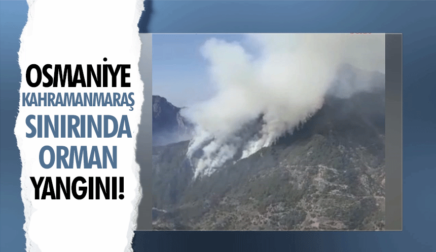 Osmaniye-Kahramanmaraş sınırında orman yangını!
