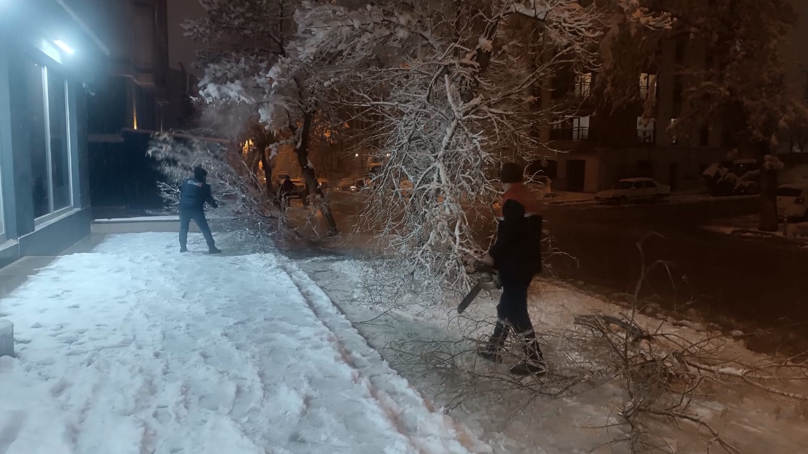 Yoğun Kar Yağışıyla Kırılan Ağaç Dallarına Hızlı Müdahale