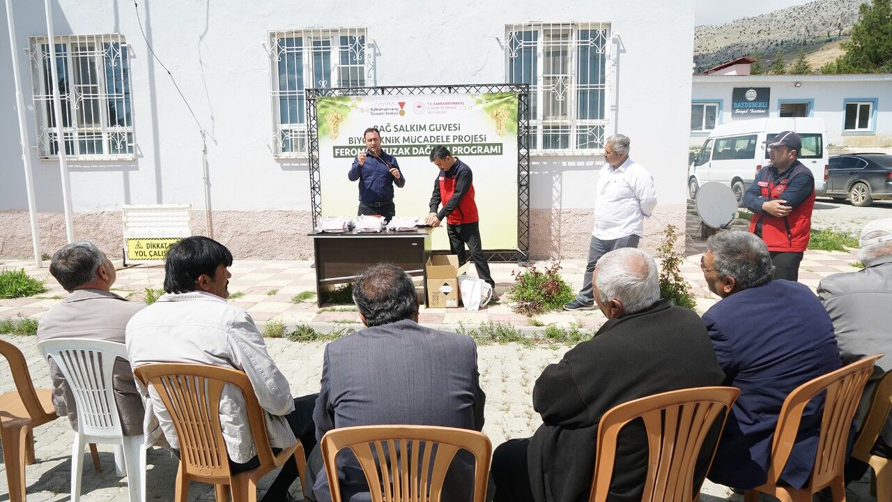 Büyükşehir’den Bertiz’de Kabarcık Üzümüne Doğal Koruma Hamlesi