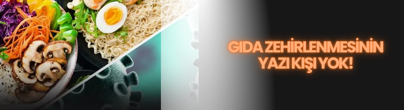 Gıda zehirlenmesinin yazı kışı yok!