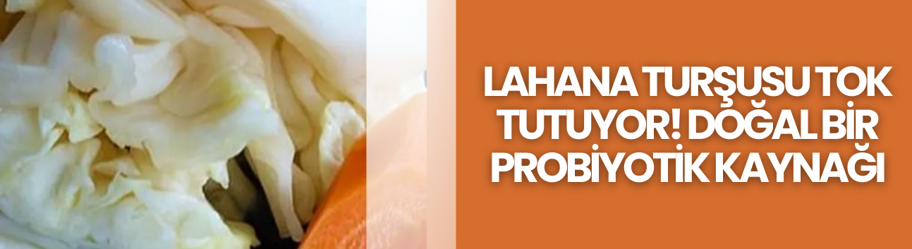 Lahana turşusu tok tutuyor! Doğal bir probiyotik kaynağı